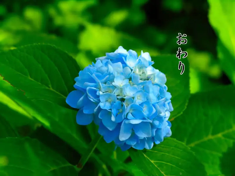 웹툰 이미지 34