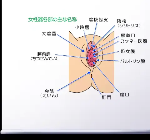 웹툰 이미지 397