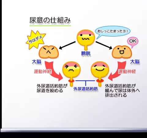 웹툰 이미지 430