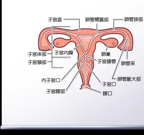 웹툰 이미지 361