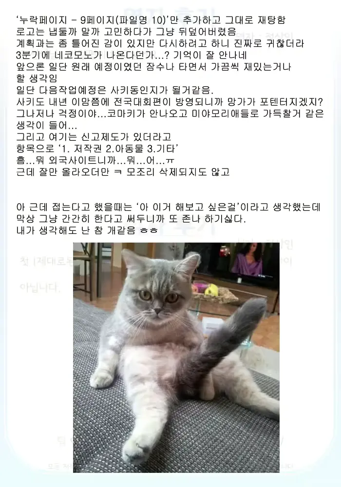 웹툰 이미지 19