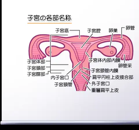 웹툰 이미지 420
