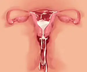 웹툰 이미지 258