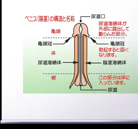 웹툰 이미지 355