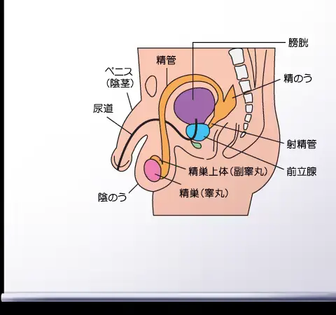 웹툰 이미지 354