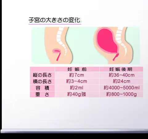 웹툰 이미지 419