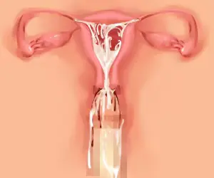 웹툰 이미지 255