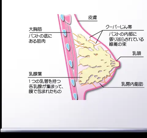 웹툰 이미지 356