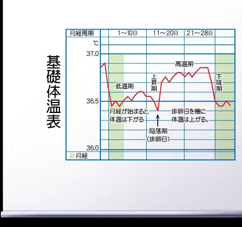 웹툰 이미지 375