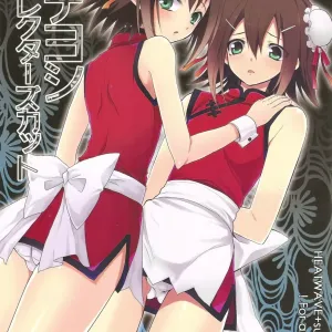 Hideyoshi Director's Cut