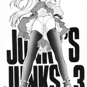 JUNKY'S JUNKS 3