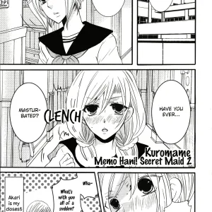 Memo Hani! Secret Maid 2