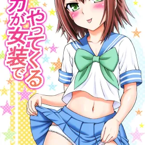 Baka ga Josou de Yattekuru