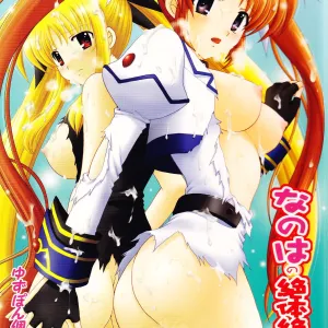 Nanoha no Zettai Zetsumei S Special