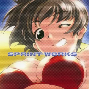 SPRINT WORKS