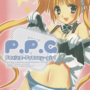 P.P.G.8