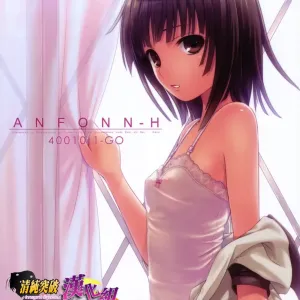 ANFONN-H
