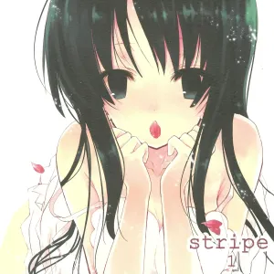 stripe1