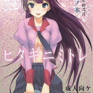 Hitagi ni Mitore