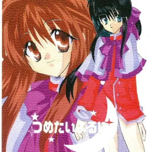 Tsumetaiyoruni
