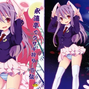 Eientei de Usagi Gari ~Kagen~ | Rabbit Hunting at Eientei Second Quarter Moon
