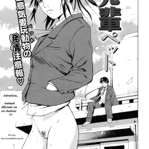 sempai pet
