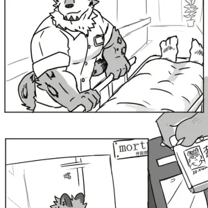 Hospital Article