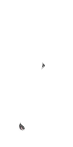 웹툰 이미지 170