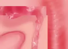 웹툰 이미지 259