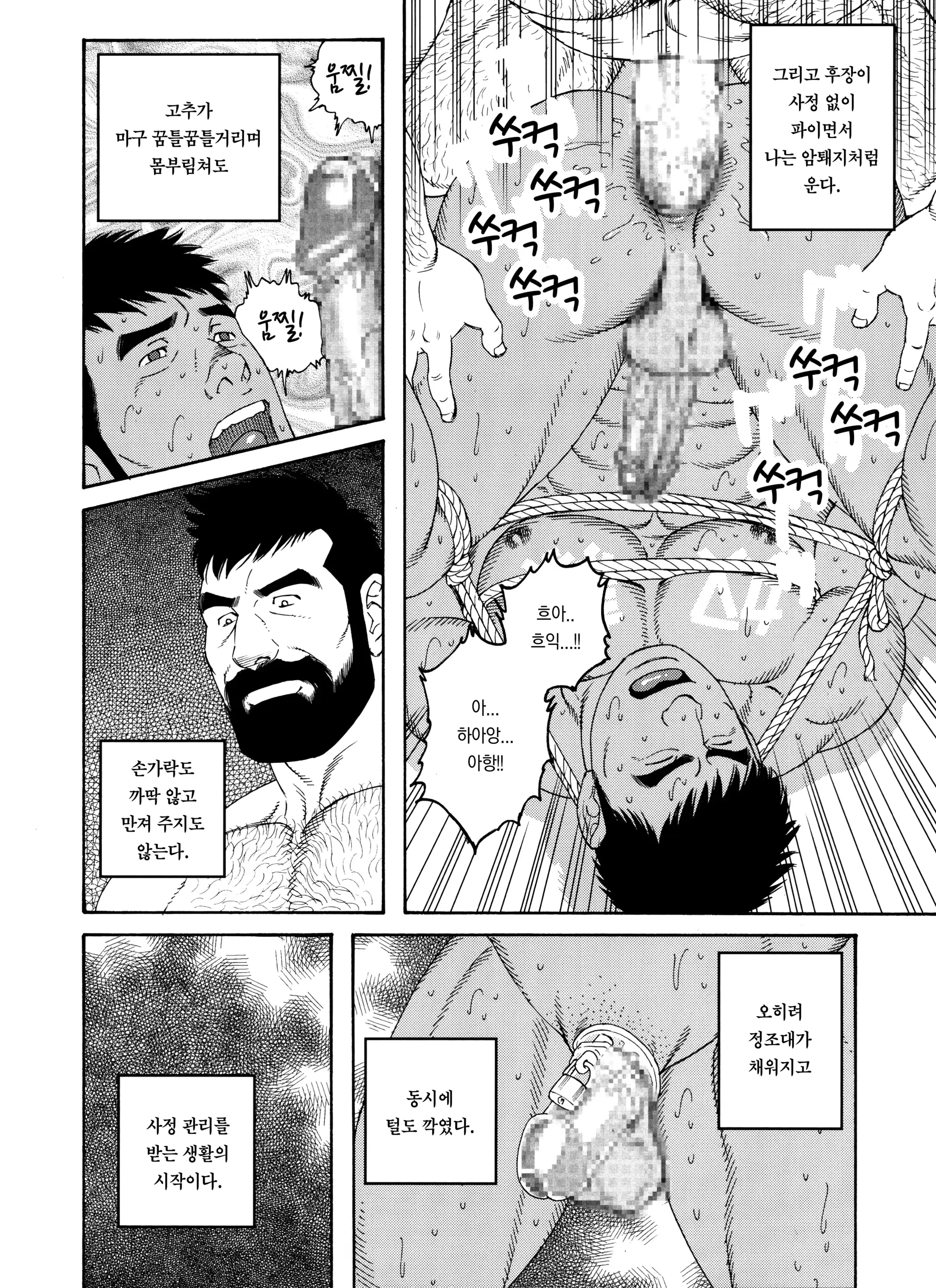 웹툰 이미지 3