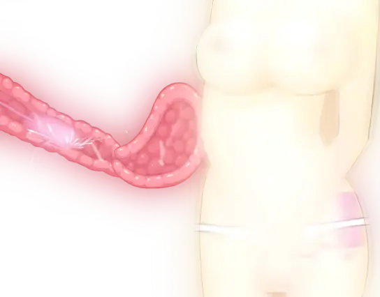 웹툰 이미지 304