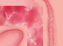 웹툰 이미지 264