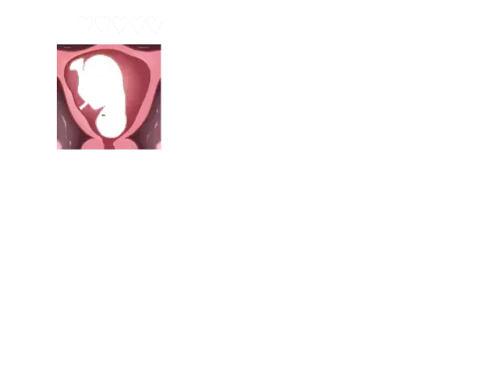 웹툰 이미지 365
