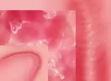 웹툰 이미지 260