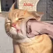 웹툰 이미지 26