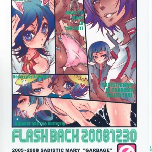 FLASH BACK 20081230
