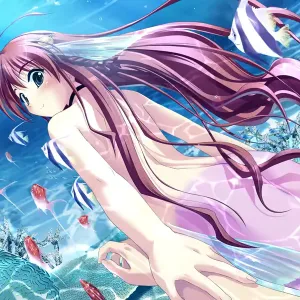 Asanagi no Aquanauts - Yoyaku Tokuten Sukumizu Disk ～ School Swimsuit Disc ～