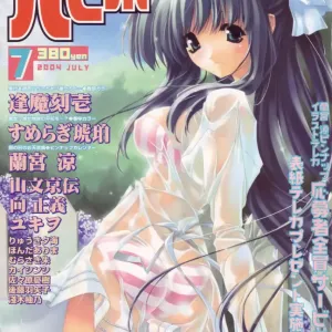 Comic Papipo 2004-07